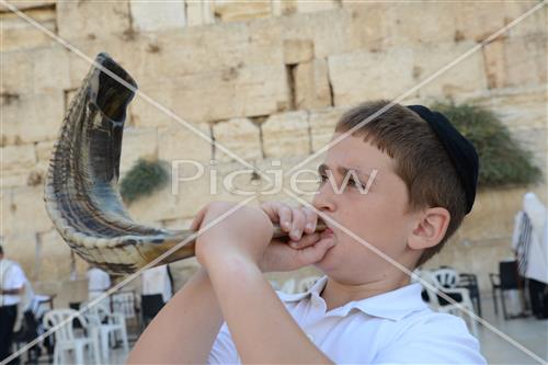 shofar