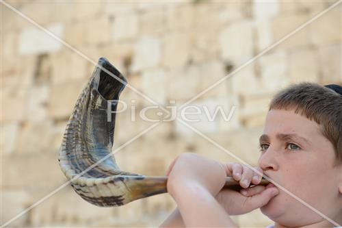 shofar