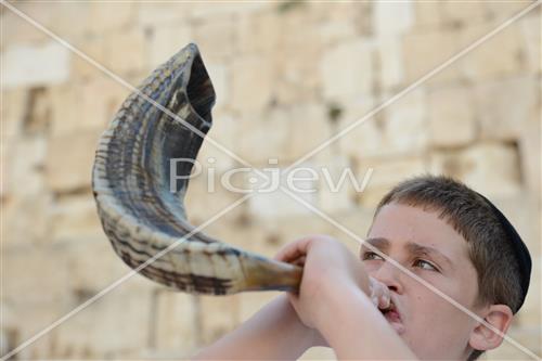 shofar