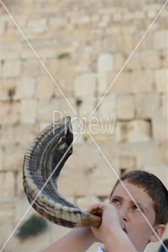 shofar