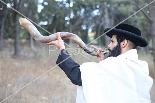 Shofar