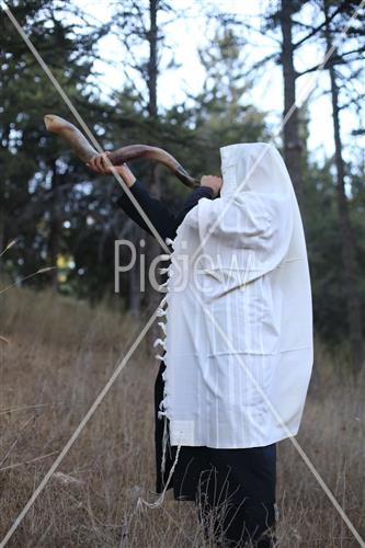 Shofar