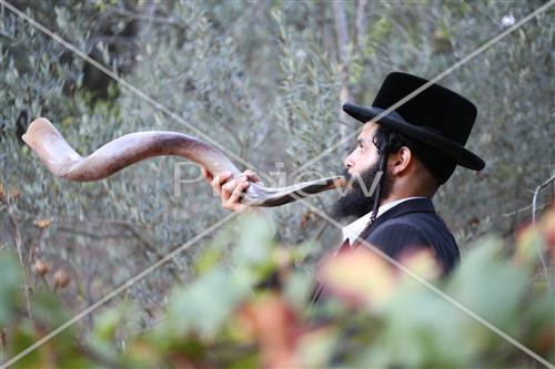 Shofar