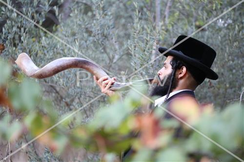 Shofar