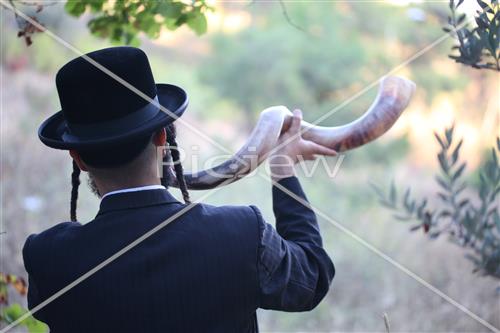 Shofar