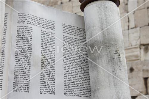 Reading the Torah