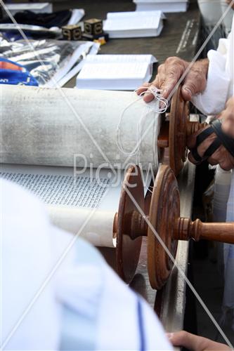 Reading the Torah