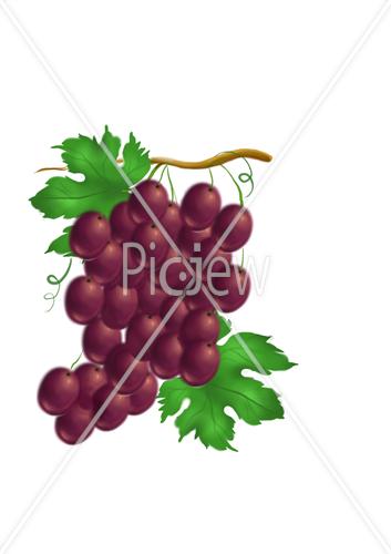 Grapes