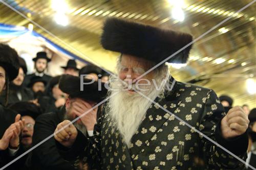 Rabbis