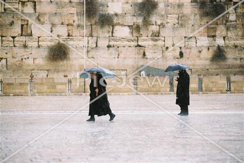 תפילה בגשם בכותל המערבי