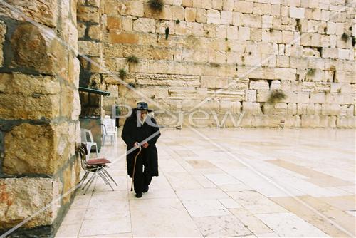 תפילה בגשם בכותל המערבי