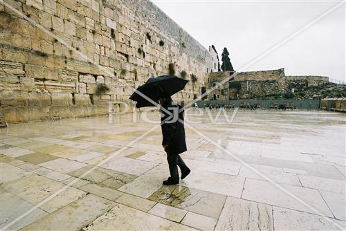 תפילה בגשם בכותל המערבי