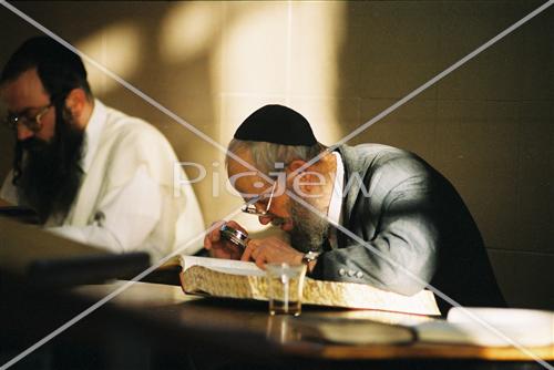 לימוד תורה