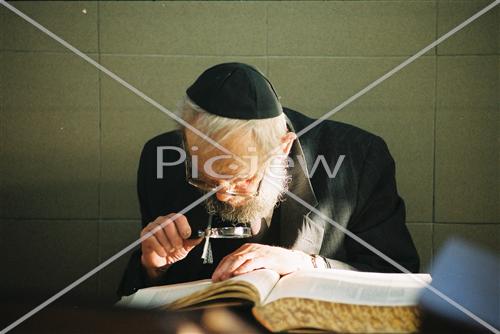 לימוד תורה