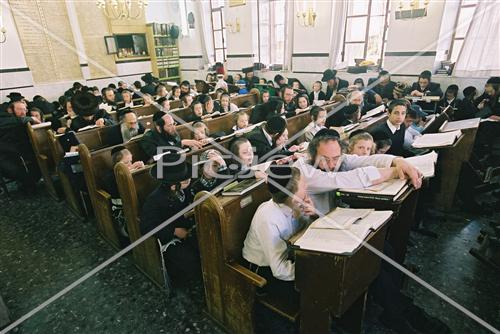 לימוד תורה