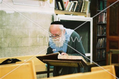 לימוד תורה