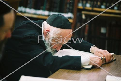 לימוד תורה