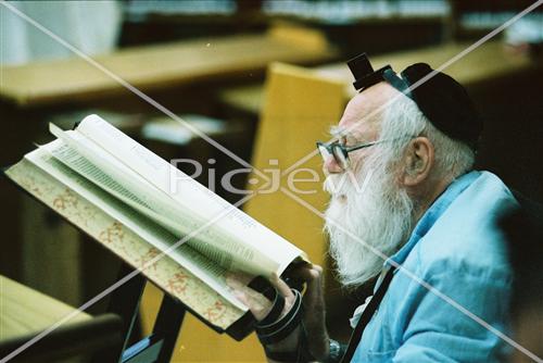 לימוד תורה