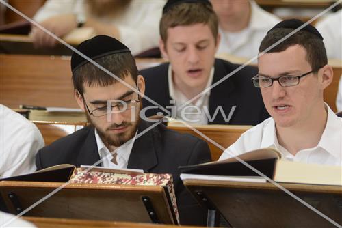 Mir Yeshiva