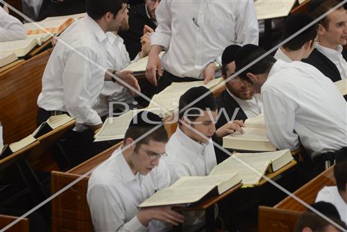 Mir Yeshiva