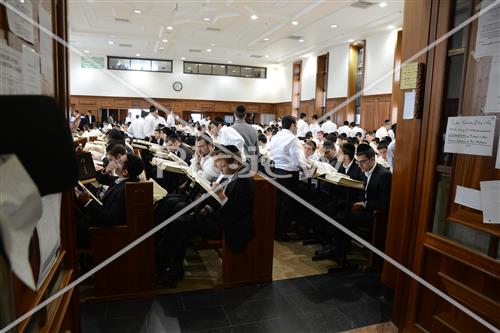 Mir Yeshiva