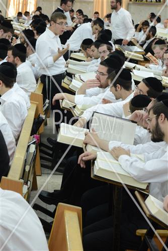 Mir Yeshiva