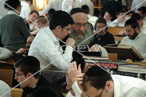 ישיבת תורת זאב