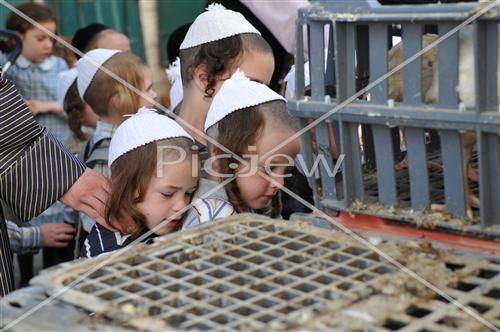 עשיית כפרות