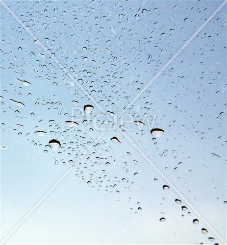 Drops on window