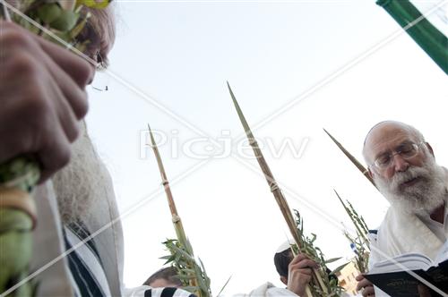 הושענא רבה  בכותל המערבי