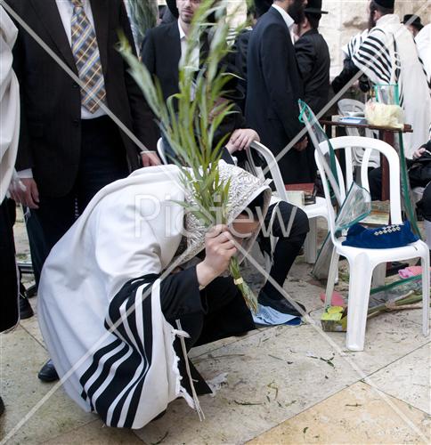 הושענא רבה  בכותל המערבי