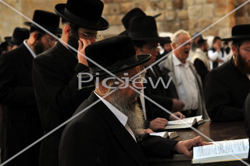תפילה בכותל המערבי