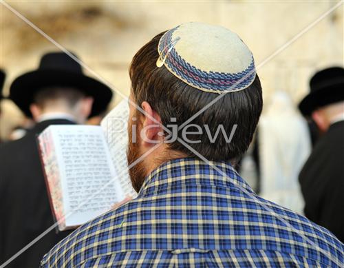 תפילה בכותל המערבי