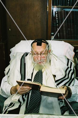 Rabbi Scheinberg