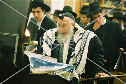 Rabbi Scheinberg