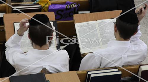 Torah study