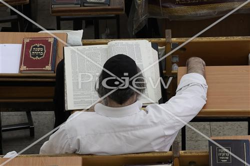 Torah study