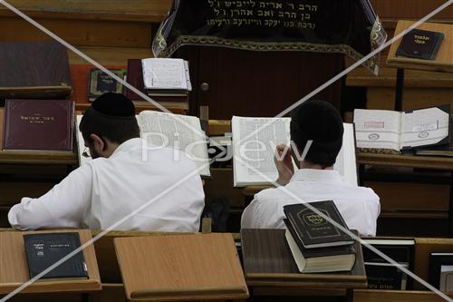 Torah study