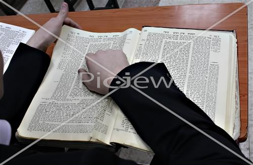 Torah study