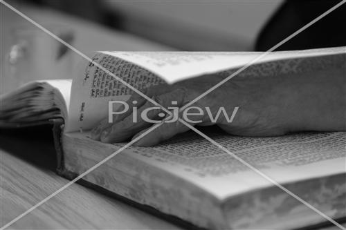Learning torah