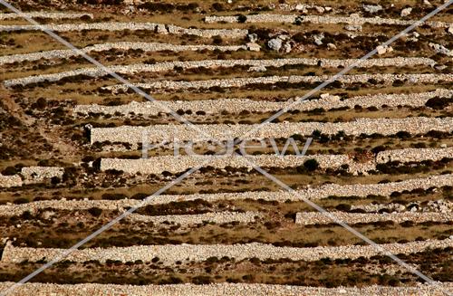 Terraces