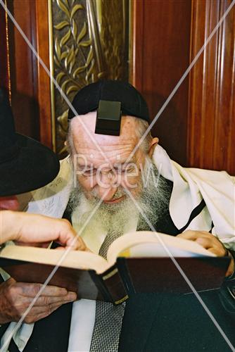 Rabbi Scheinberg