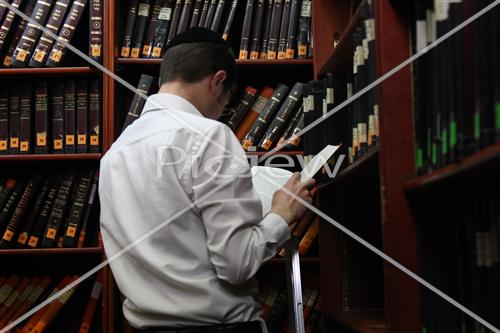 Torah study