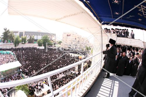 חתונת גור