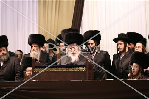 Chassidim