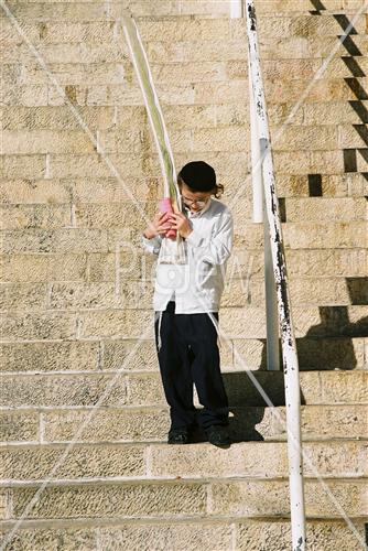 Gigantic Lulav and Etrog