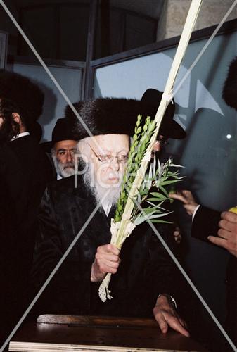 הרב אלישיב בחג סוכות