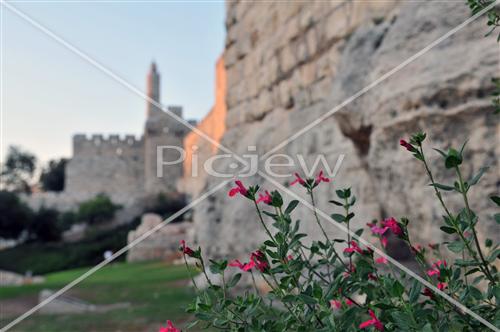 Jerusalem walls