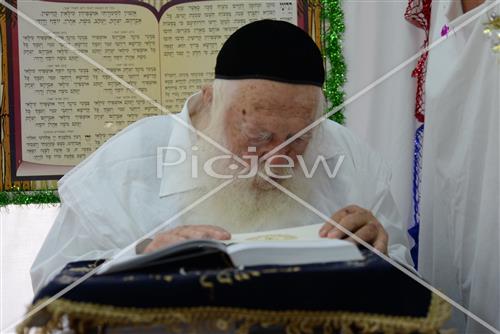 Rabbi Chaim Kanievsky