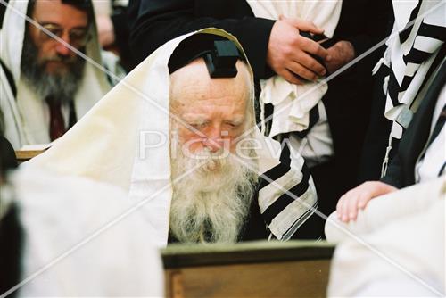 Rabbi Chaim Kanievsky